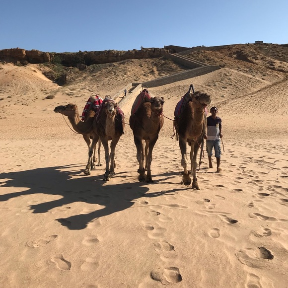 MEET THE POSHER, MARIAH 💛 - Picture 3 of 4